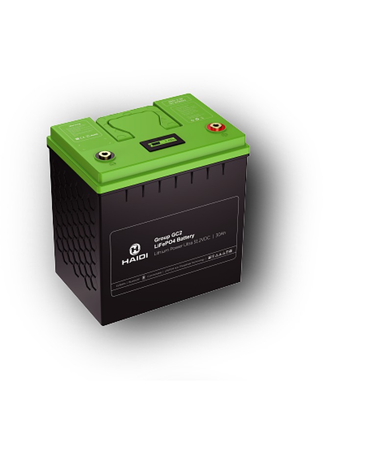 Golf cart / LSV battery